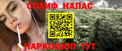 сатива Кимры