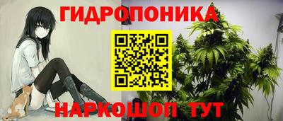 наркотики Кингисепп