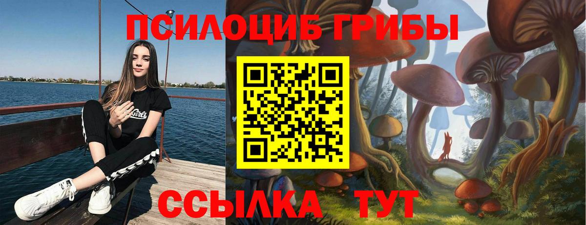 Биробиджан  Псилоцибиновые грибы Psilocybe  купить наркотики сайты  Галлюциногенные грибы Cubensis  Вход с VPN 