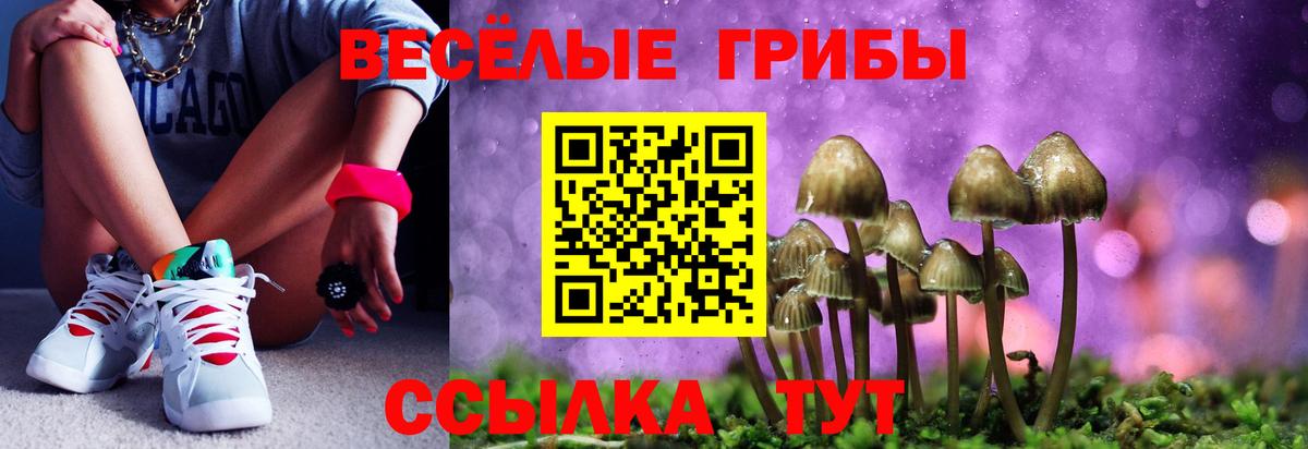 Галлюциногенные грибы Psilocybe Биробиджан